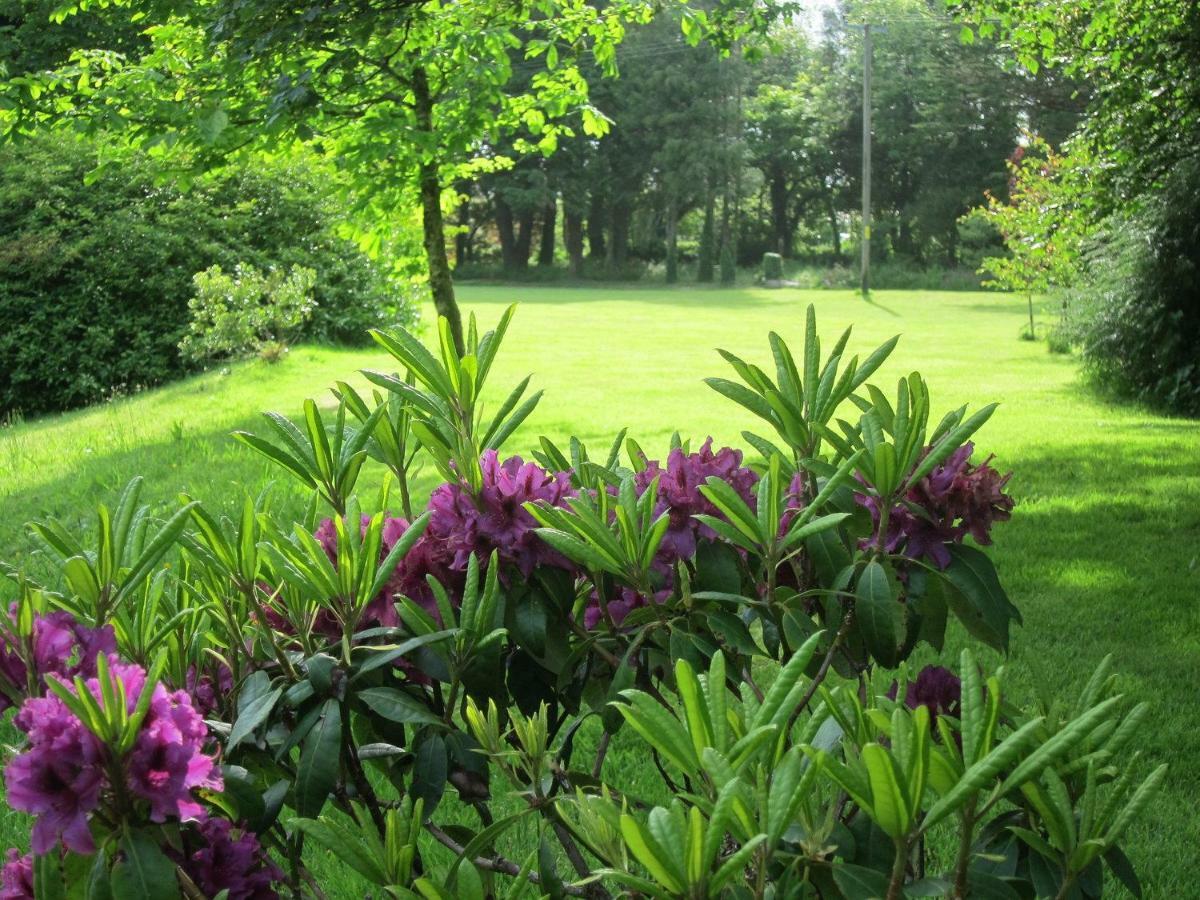 Hope Cottage Modbury Bagian luar foto
