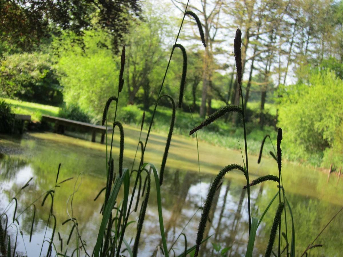 Hope Cottage Modbury Bagian luar foto