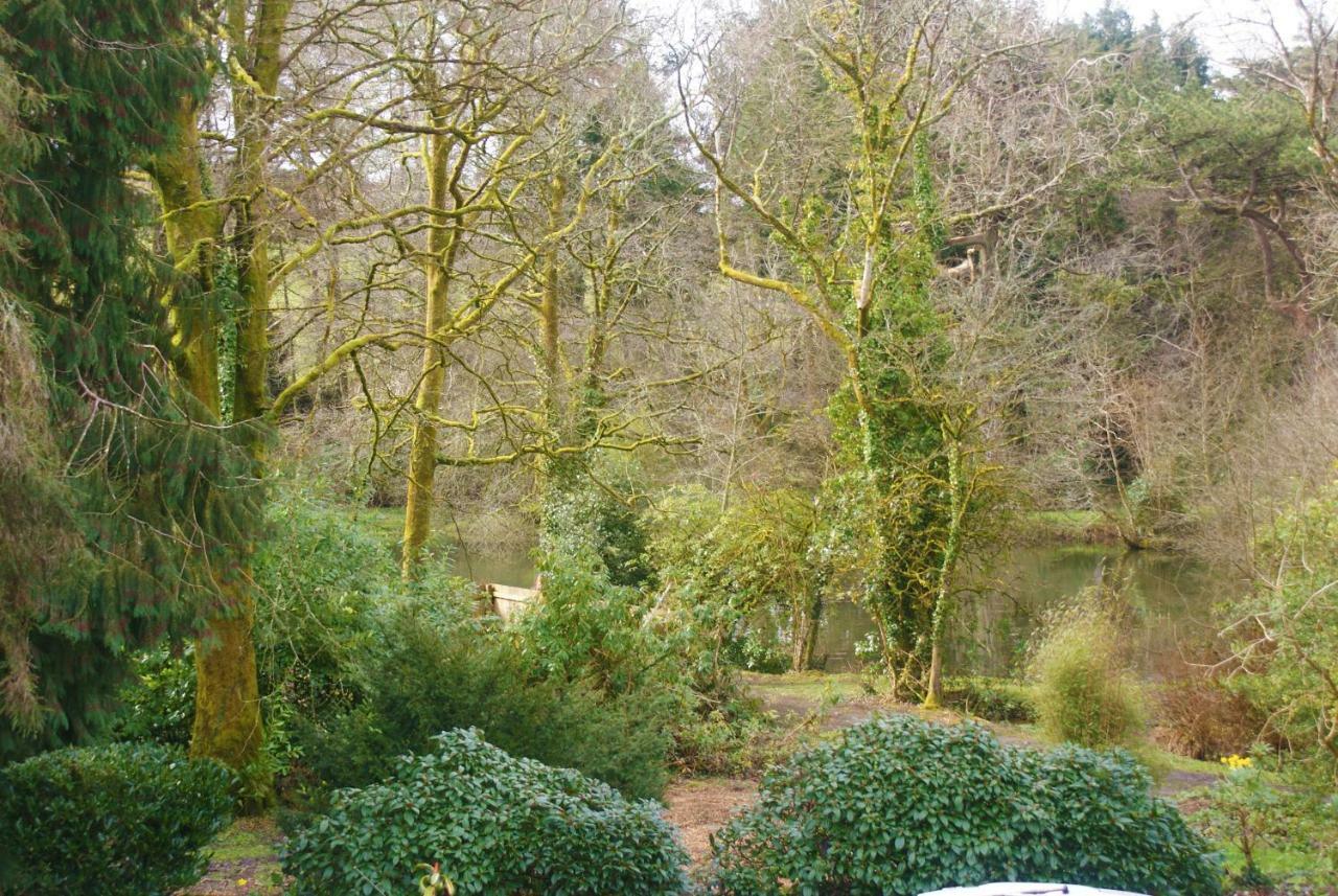 Hope Cottage Modbury Bagian luar foto